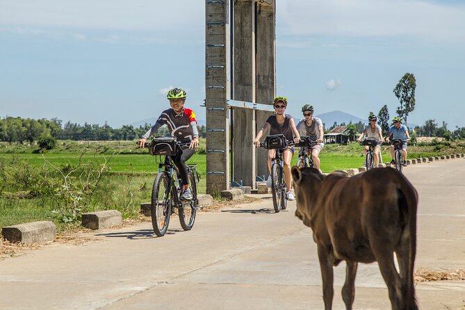 Hoi An: Morning Countryside Tour by Bike - Key Things I’d Mark On Your Map