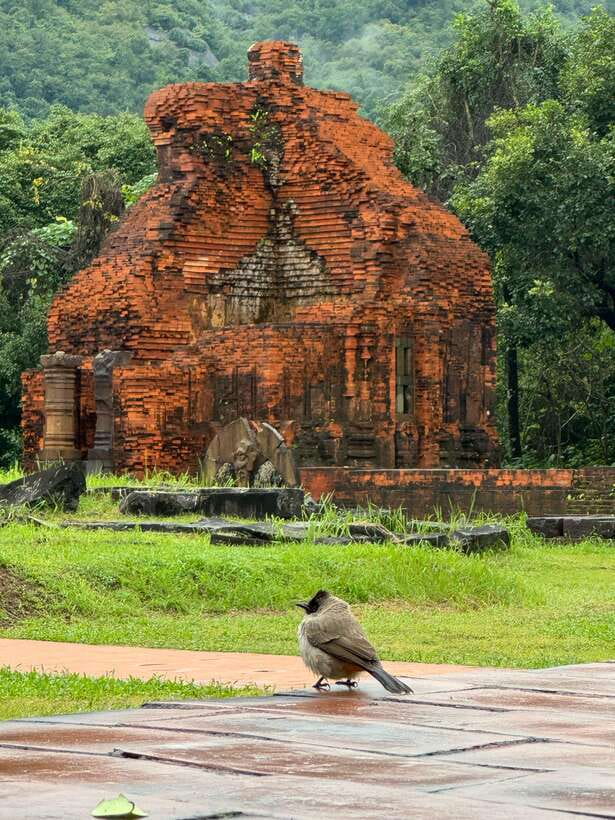 Hoi An: My Son Sanctuary Private Tour with Local Guide - Meeting your guide, and what their local background adds