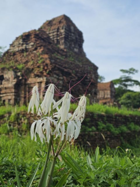 Hoi An: My Son Sanctuary & Sunset River Cruise BBQ or Banhmi - Should You Book This My Son and River Cruise Combo?