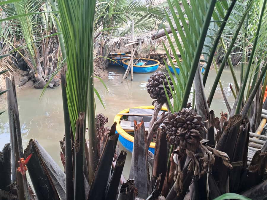 Hoi An: My Son Sanctuary with Basket Boat and Lunch Options - Budget, Heat, and Comfort Notes You Should Plan For