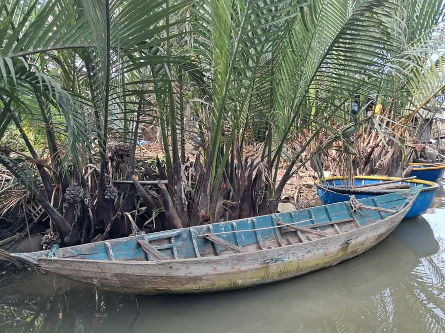 Hoi An: My Son Sanctuary with Basket Boat and Lunch Options - Should You Book This Tour from Hoi An?