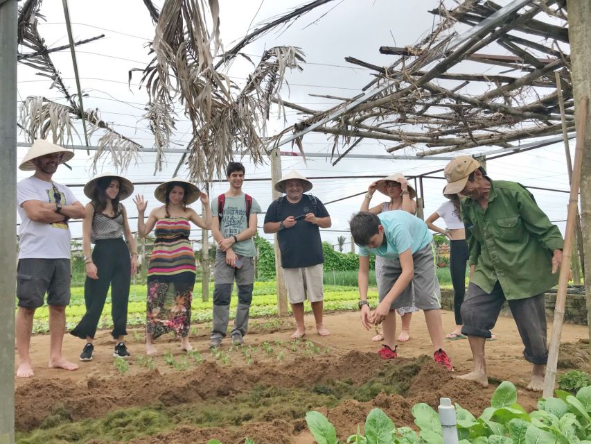 Hoi An: Private Villages Biking Tour with Meal - Mid-Ride Countryside Stops: Shrimp Ponds, Rice Fields, and Farm Animals