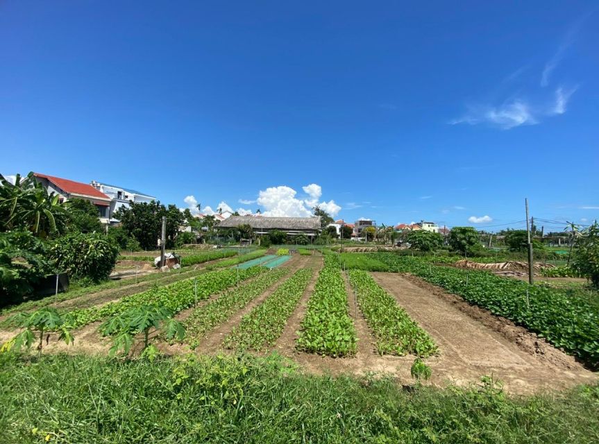 Hoi An: Rural Cycling Tour to Village with Basket Boat Ride - Key highlights you will care about