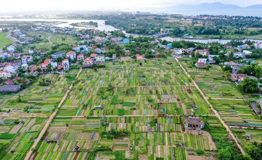 Hoi An: Rural Cycling Tour to Village with Basket Boat Ride - Price and Value: Why $27 for 3 Hours Can Feel Like a Full Win