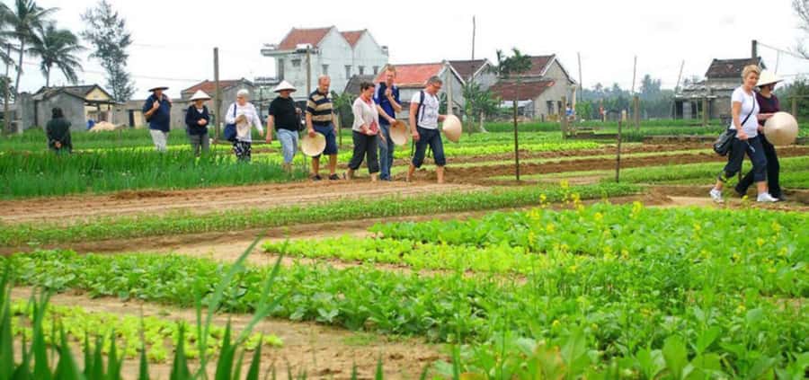 Hoi An: Tra Que Herb Village Cooking Class - Timing and flow of the 150 minutes (so you do not feel rushed)