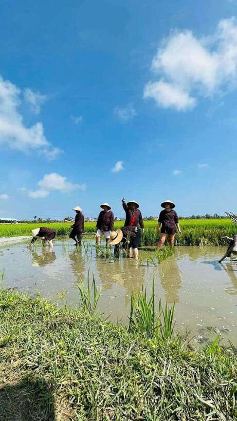 Hoi An Wet Rice Farming Tour-Basket Boat Tour Fishing-Lunch - Key highlights worth knowing