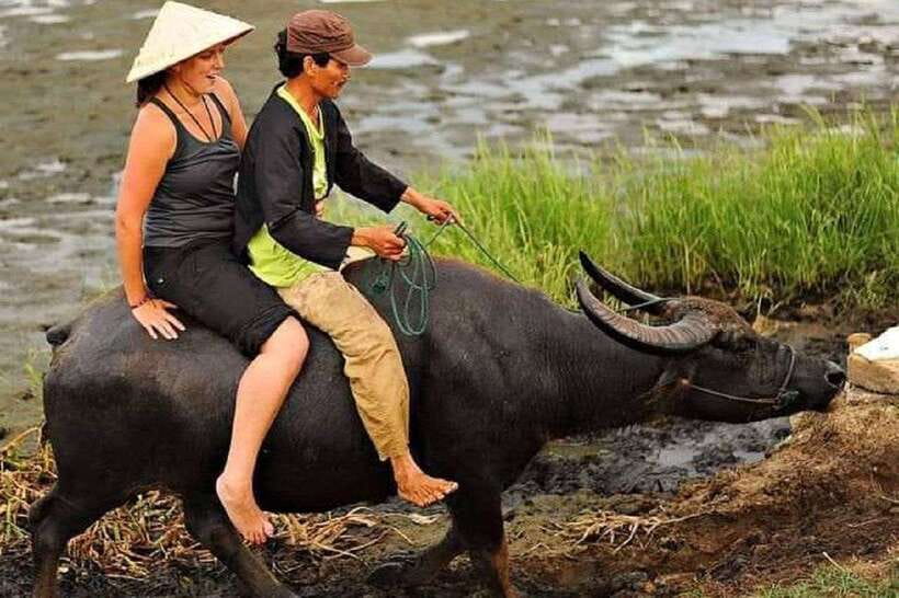 Hoi An Wet Rice Farming Tour-Basket Boat Tour Fishing-Lunch - Buffalo riding along the stream: the “yes, this is different” moment