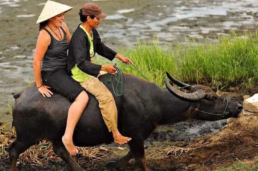 Hoi An Wet Rice Farming Tour-Basket Boat Tour Fishing-Lunch - Coconut forest basket boat cruising: a scenic break between tasks