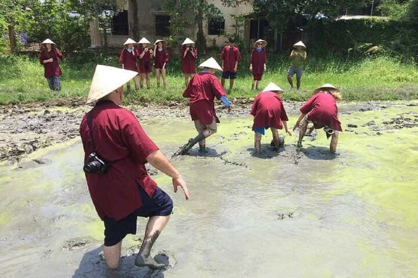 Hoi An Wet Rice Farming Tour-Basket Boat Tour Fishing-Lunch - Who should book this, and who should skip it