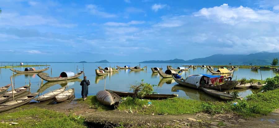 Hue: Private Tour – Customize Your Own Itinerary - Tu Duc tomb and Tu Hieu pagoda: more calm than crowds