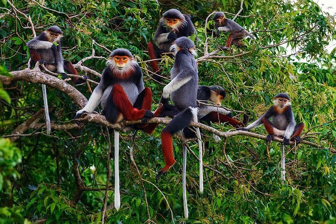 Hue to Dn/Hoi An: Hai Van Pass, beaches & Mt Monkey or vice versa - Son Tra Mountain and Linh Ung Pagoda: Lady Buddha Plus Monkey Mountain Views