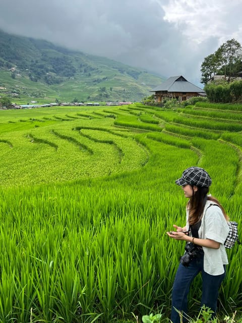 In Sapa: 1 Day Mountain Trek, Visit beautiful villages - Sa Seng Summit and Muong Hoa Valley Rice Terraces