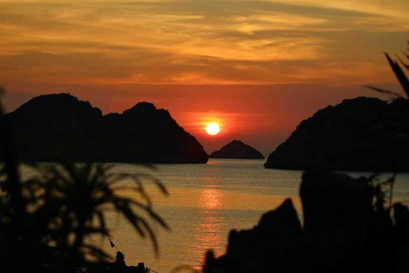 Lan Ha Bay: Bioluminescent Plankton Kayak Tour from Beo Pier - Your Guide on Water: What “Local Knowledge” Looks Like