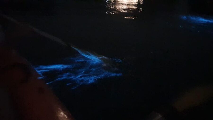 Lan Ha Bay: Sunset & Plankton Bioluminescent Night Kayaking - Guides and safety in the dark water, the part you feel