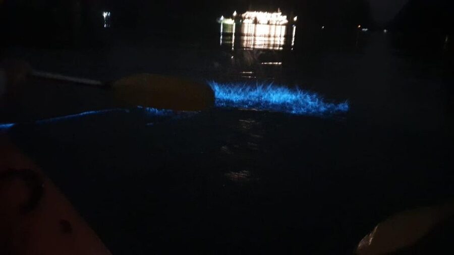 Lan Ha Bay: Sunset & Plankton Bioluminescent Night Kayaking - Little planning notes that help you have a smoother night