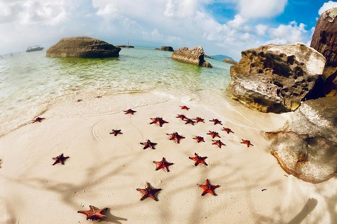 Land Tour 2: Discover the North - Kayaking & Starfish beach Phu Quoc (Not Lunch) - Why this North Phu Quoc day feels practical, not rushed