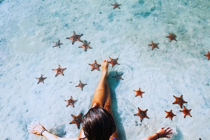 Land Tour 2: Discover the North - Kayaking & Starfish beach Phu Quoc (Not Lunch) - Stop 2: Mui Ganh Dau Beach and the Cambodia border view