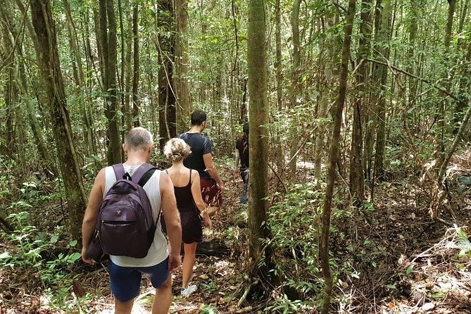 Land Tour 2: Discover the North - Kayaking & Starfish beach Phu Quoc (Not Lunch) - Guides, group vibe, and why the day can feel smoother than it looks on paper