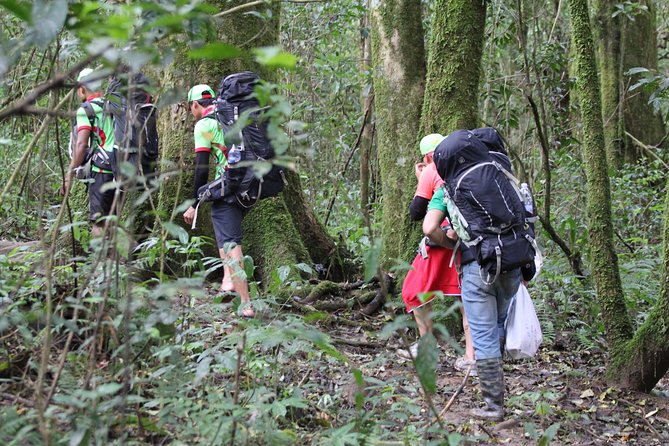 Langbiang Green Trekking Tours - Signature Trekking Da Lat - The 18 km Lang Biang climb, from pine forests to 2,167 m views