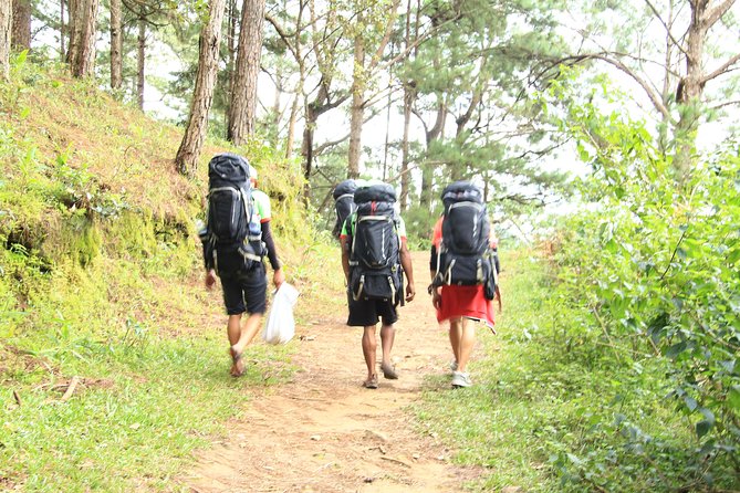 Langbiang Green Trekking Tours - Signature Trekking Da Lat - Pickup in an air-conditioned van, and why it makes the day easier