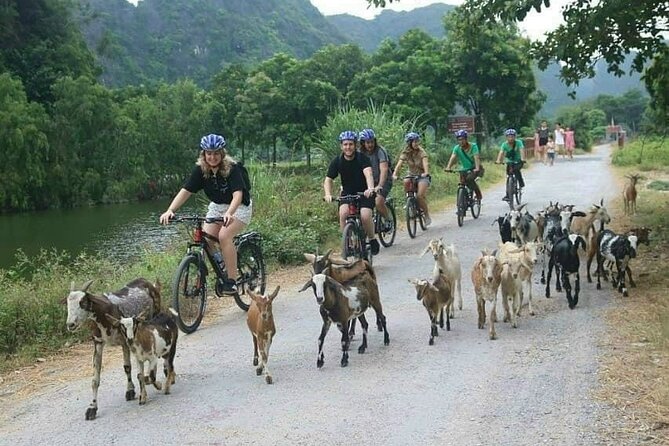 Luxury small Group Hoa Lu - Tam Coc - Mua Cave Max 6 - 8 pax/tour - Who this tour fits best, and who should skip it