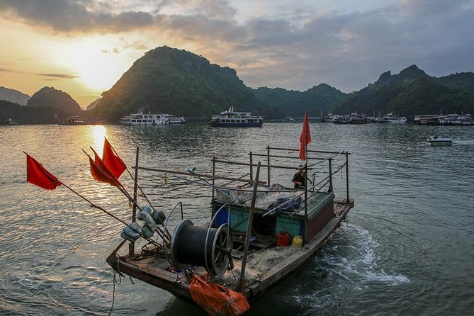 Magical Sunset and Evening with glowing plankton by Cat Ba Local - Night Kayaking: How the Plankton Sparkle Works