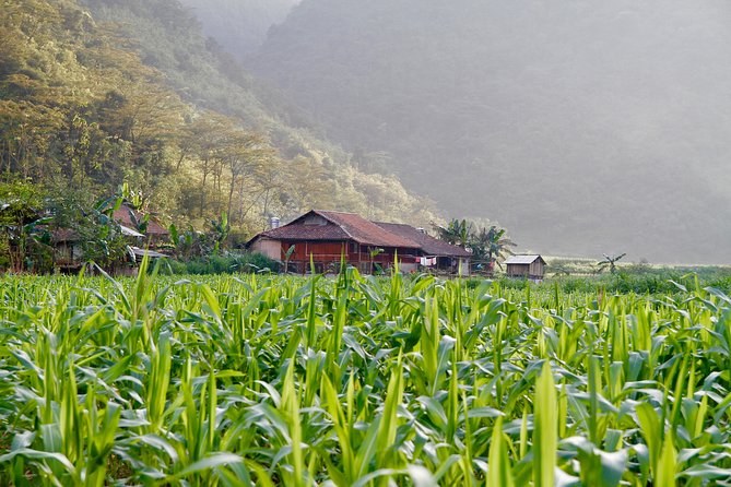 Majesty Of Untouched Northern Vietnam Tour 6 Days - Day 3, Dong Van Market, Hmong Weekly Culture, and Ma Pi Leng