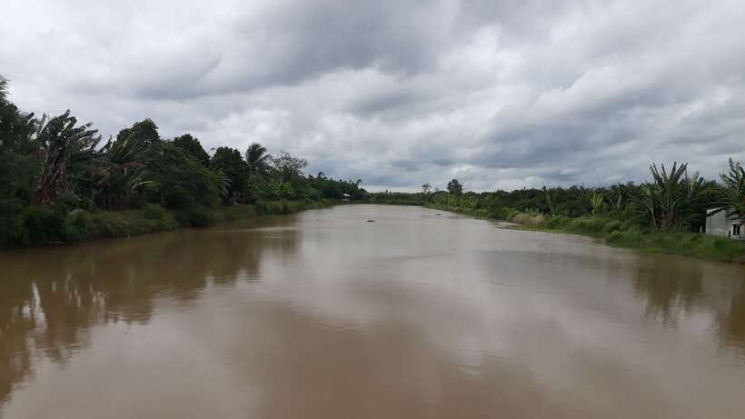 Mekong Day Tour by Car:Cai Be market, Local Island & Cycling - The hand-rowed sampan ride through small canals