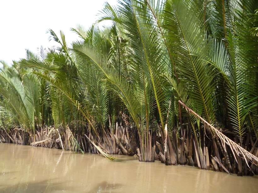 Mekong Day Tour by Car:Cai Be market, Local Island & Cycling - The afternoon village walk and optional cycling