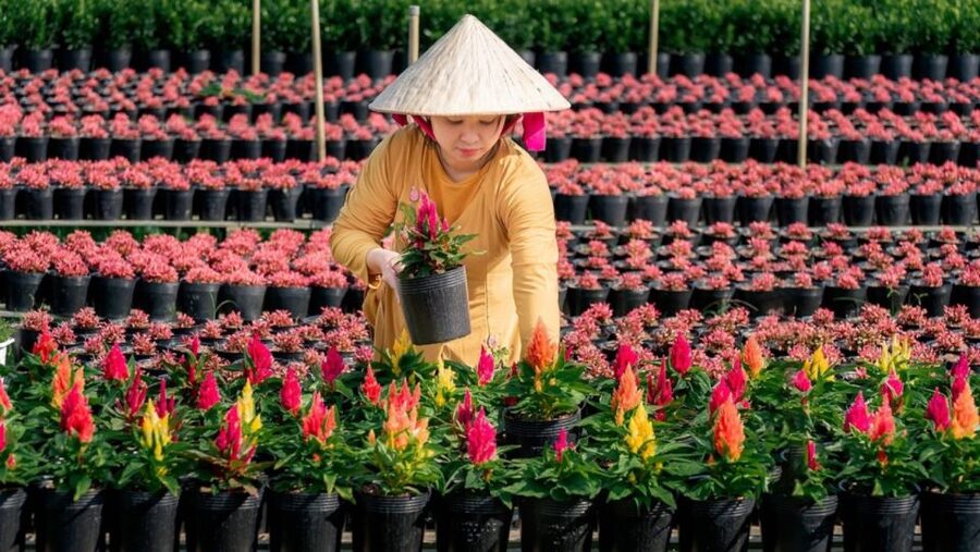 Mekong Delta Tour 2-Day (SaDec – Can Tho - My Tho - Ben Tre) - Con Lan and Con Phung craft villages: why this stop can be worth your time