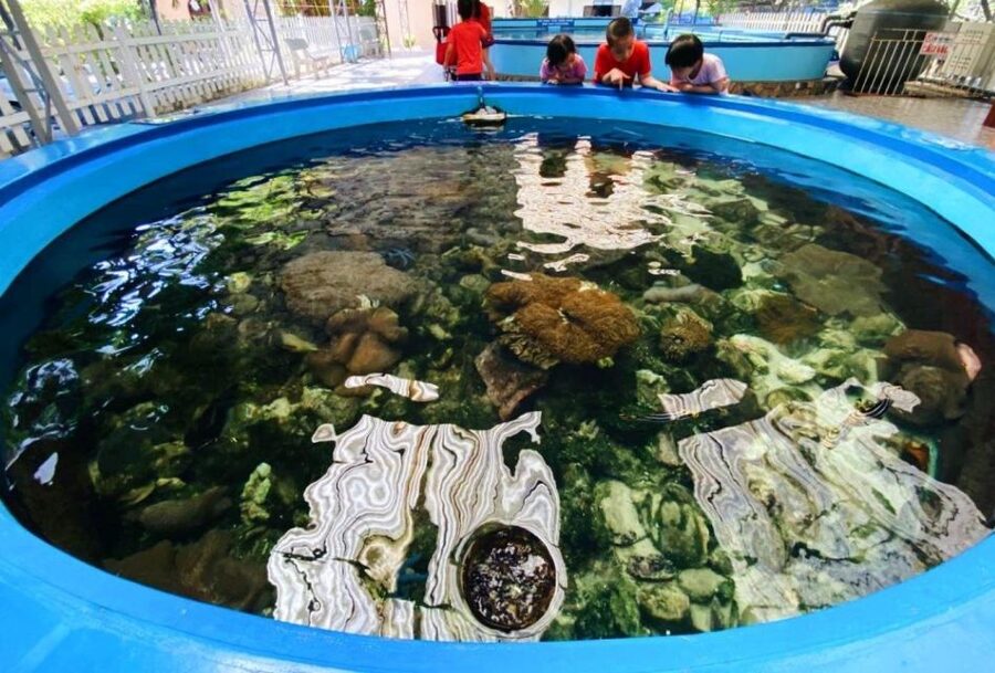 Nha Trang City Half-Day Tour - Price and value: why $31 can work for a tight schedule