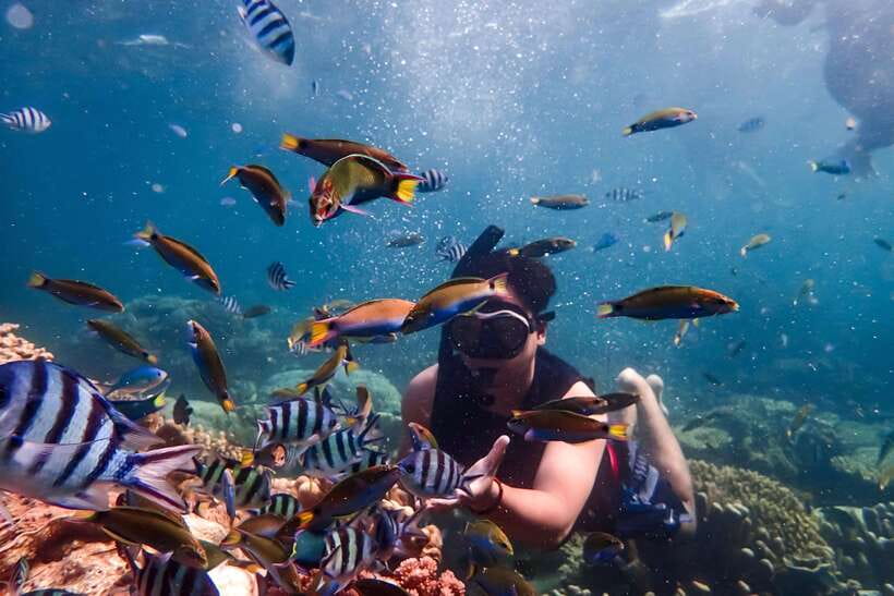 Nha Trang: Coral Reef Snorkeling, Mud Bath & Floating Bar - How the 6.5-Hour Timeline Really Works (Pickup to 3 PM)