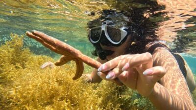 Half-Day Snorkeling Adventure with BBQ Onboard