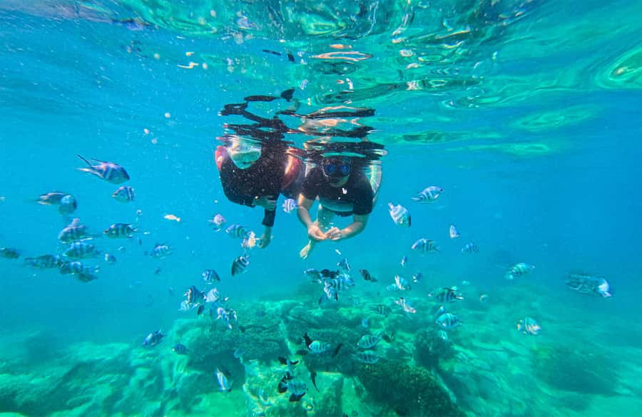 Nha Trang: Half-Day Snorkeling Adventure with BBQ Onboard - Price and value: what $30 actually buys you