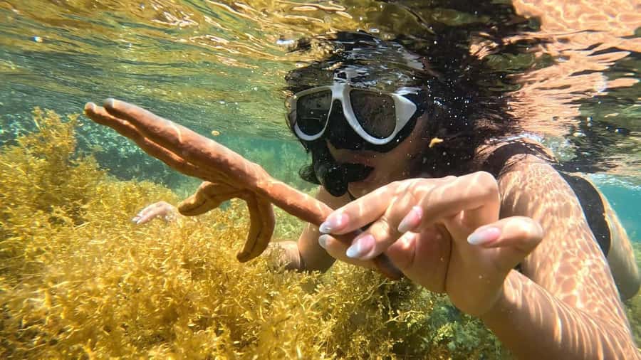 Nha Trang: Half-Day Snorkeling Adventure with BBQ Onboard - The snorkel circuit: Hon Tam, Dam Bay, Hòn Mun, and Hòn Mot
