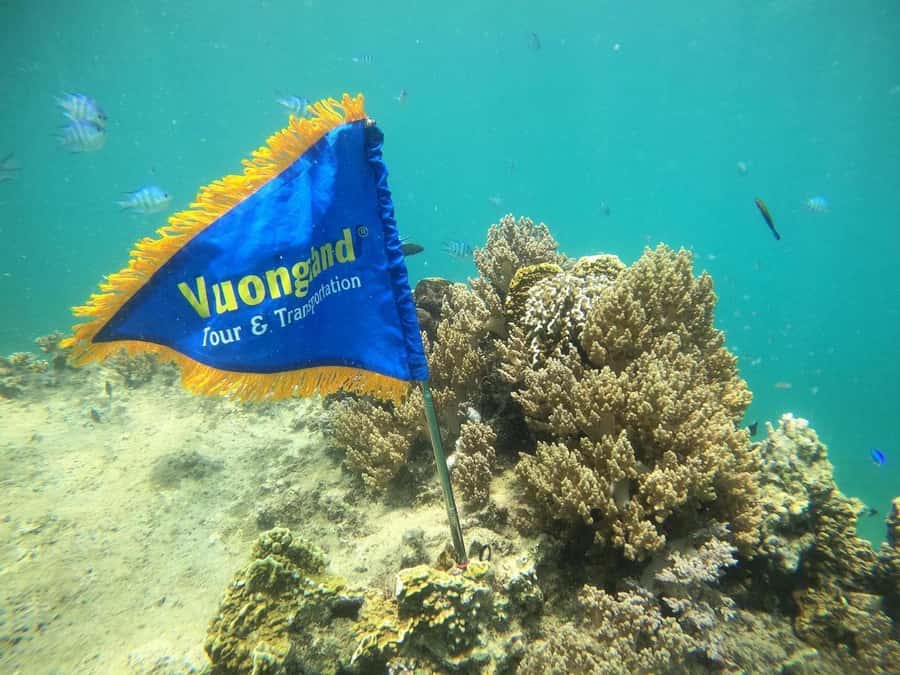 Nha Trang Half Day Snorkeling Trip - What to bring (and what not to), so the day stays easy