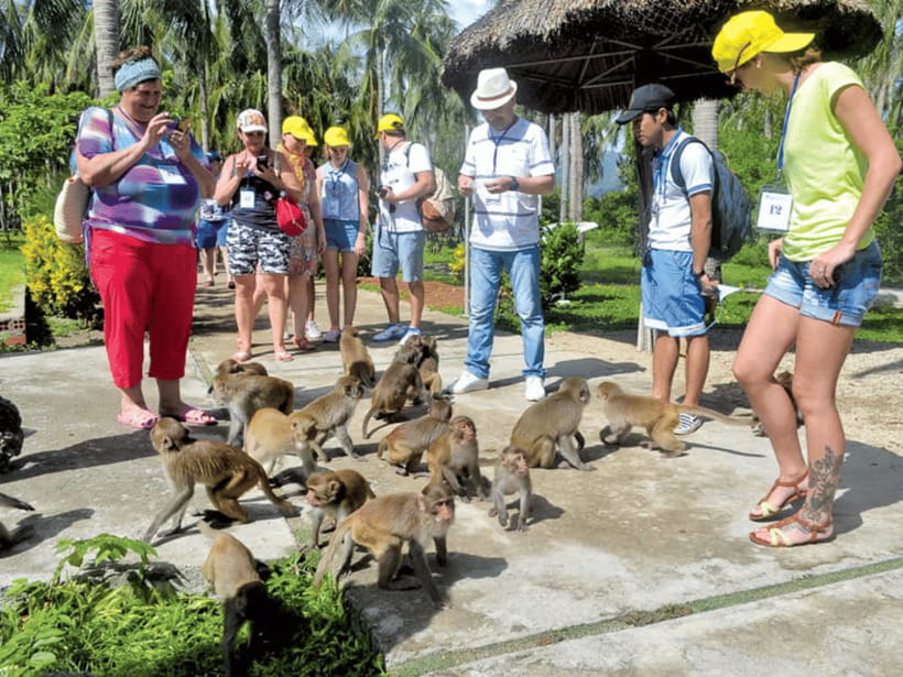 Nha Trang: Monkey Island with Orchids Island Combo Ticket - Quick hits