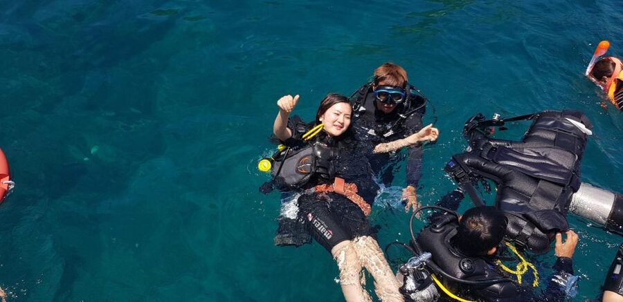 Nha Trang: Scuba Diving Experience for Non-Certified Divers - Key highlights that matter before you go