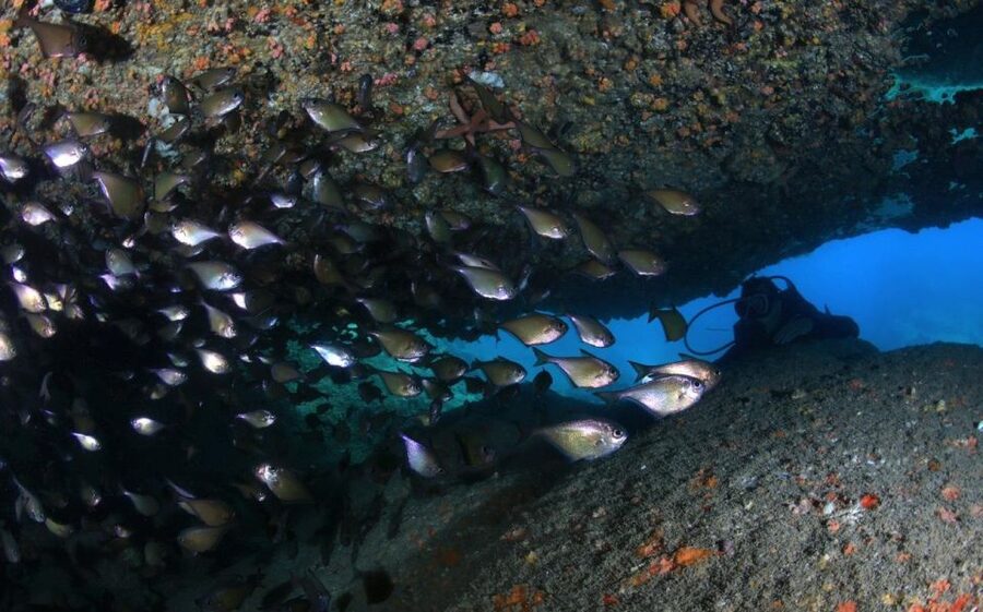 Nha Trang: Scuba Diving Experience for Non-Certified Divers - One-on-one instruction that keeps you calm