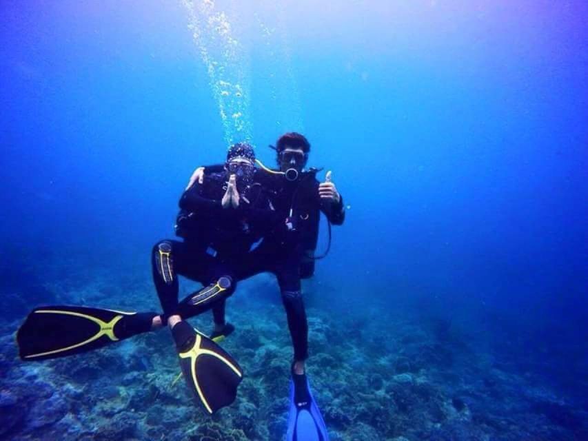 Nha Trang: Scuba Diving Experience for Non-Certified Divers - What you’ll see under the water (coral, fish, turtles)