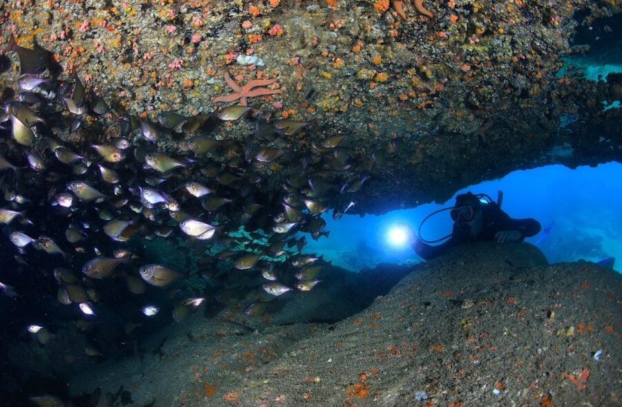 Nha Trang: Scuba Diving Experience for Non-Certified Divers - Gear, boat comfort, and the practical safety details