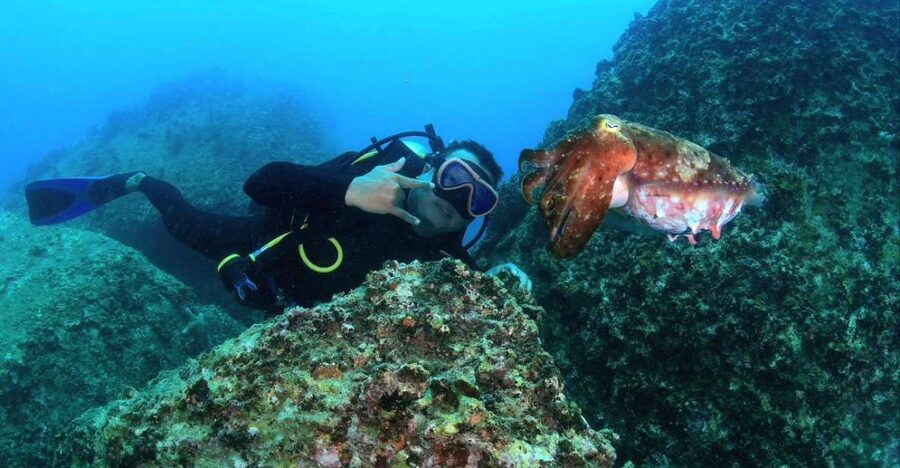 Nha Trang: Scuba Diving Experience for Non-Certified Divers - Price value at $54, and what can cost extra