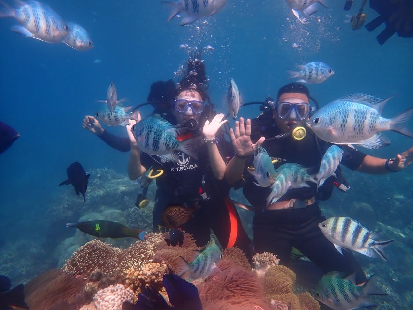 Nha Trang: Scuba Diving Experience for Non-Certified Divers - The 6-hour schedule, step by step (and where time goes)
