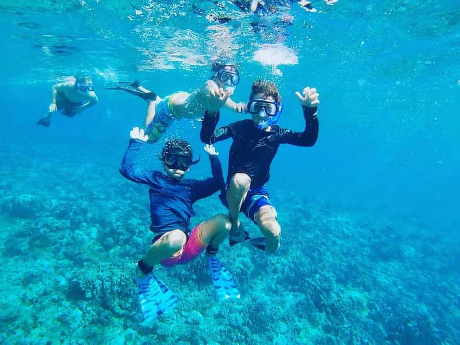 Nha Trang: Snorkeling Tour with BBQ Lunch at Coral Reef - Key things I’d watch before you go