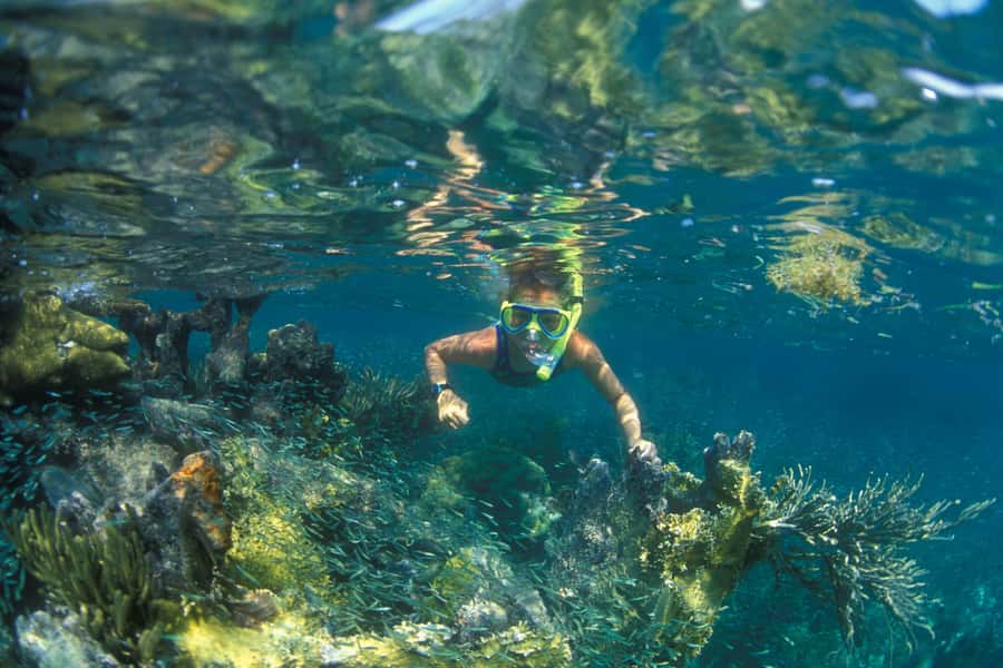 Nha Trang: Snorkeling Tour with BBQ Lunch at Coral Reef - Hotel pickup to port departure: a morning you can plan around