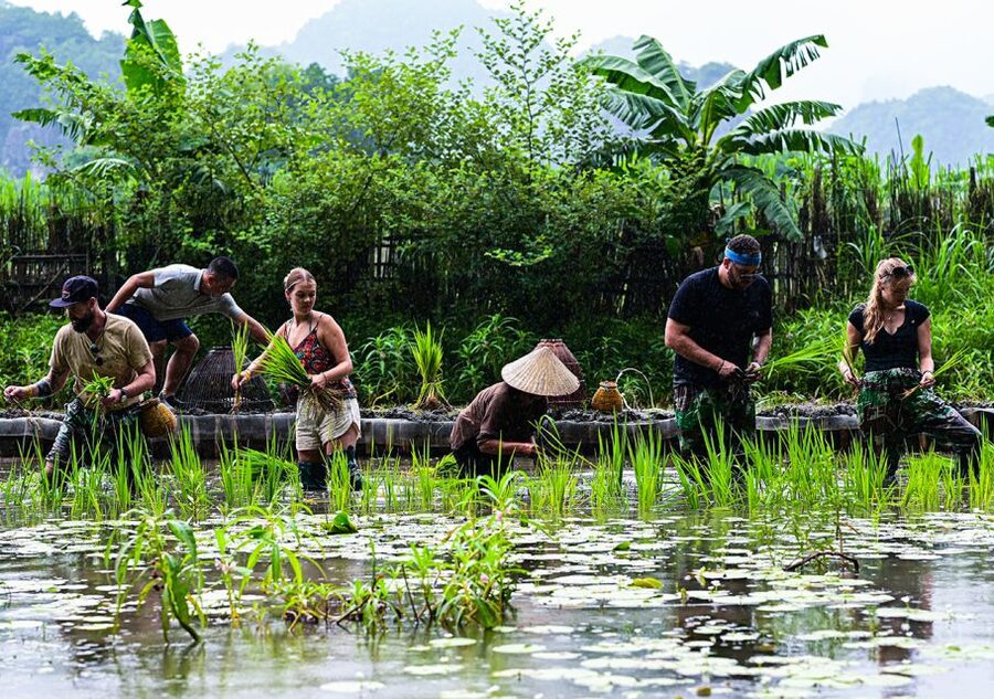 Ninh Binh: Buffalo riding, rice planting group tour - Waterfall bathing and the Buffalo Cave visit