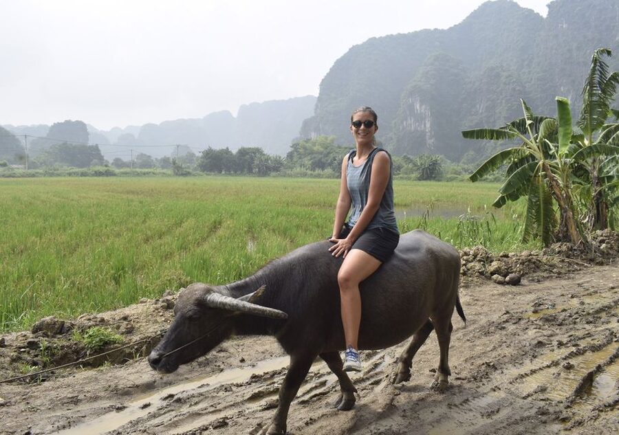 Ninh Binh: Buffalo riding, rice planting group tour - What to bring so the day feels easy