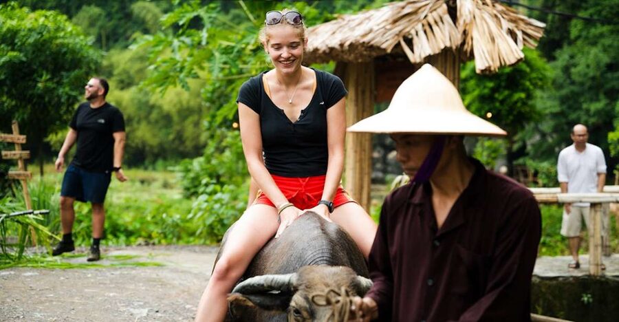 Ninh Binh: Buffalo riding, rice planting group tour - Price and what $42 really buys you
