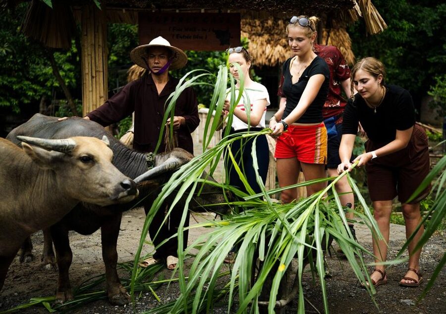 Ninh Binh cooking class at Buffalo Cave - Buffalo Cave beyond the kitchen: waterfall bathing and cave exploring