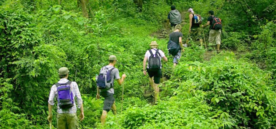 Ninh Binh: Cuc Phuong National Park 1 Day Small Group - The Primate Rescue Center Stop: More Than Just a Zoo Visit